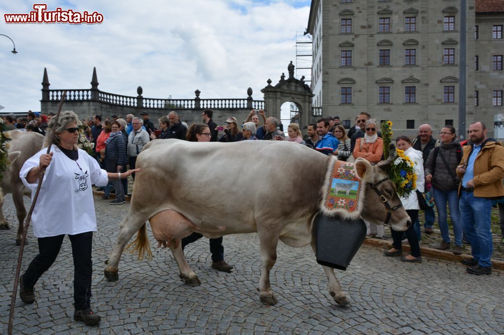 Immagine La Festa della Transumanza a Einsiedeln si svolge ogni 5 anni in autunno (Svizzera).