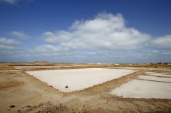 Isola di Sal Capo Verde: le geometrie delle saline offrono parecchi spunti agli appassionati di fotografia - © AQUAZOOM / Shutterstock.com