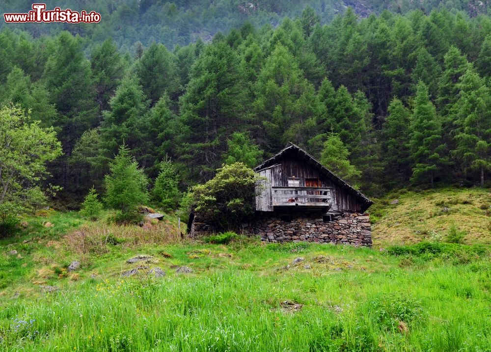 Immagine Una baita in legno sulle montagne di Terento in Alto Adige