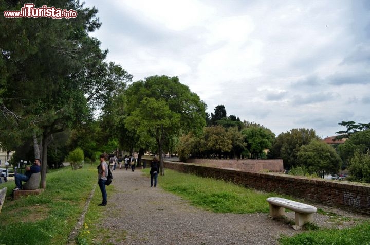 Immagine Passeggiata sulle mura di cinta del centro storico di Grosseto