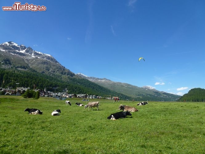 Immagine Sport e natura connubio in Svizzera