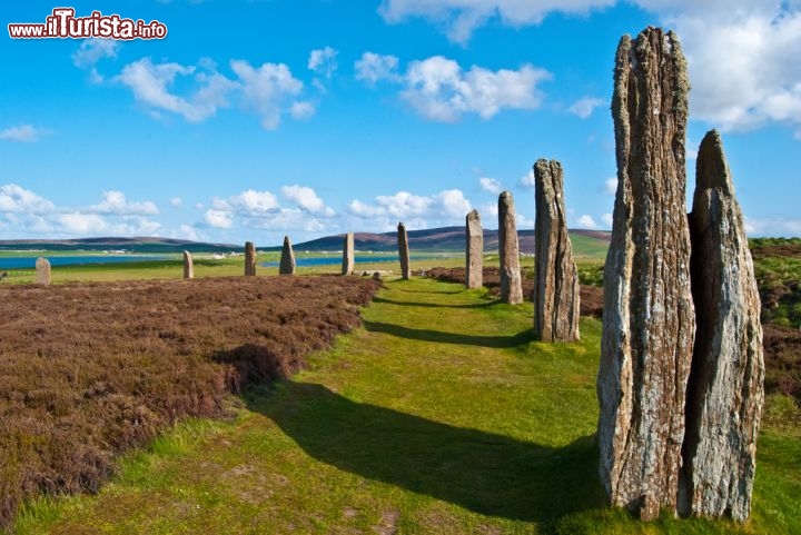 Immagine Allineamento di pietre di tipo menhir,  il mistico ring of Brodgar si trova nelle isole Orcadi, in Scozia - © Jule_Berlin / Shutterstock.com