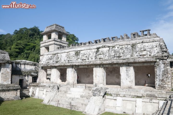 Immagine Una delle architetture di Palenque (Chiapas, Messico). L'area del sito archeologico, corrispondente all'antica città, è di circa 2,5 km², ma pare che la maggior parte della superficie totale sia ancora inesplorata - © Paco Lozano / Shutterstock.com