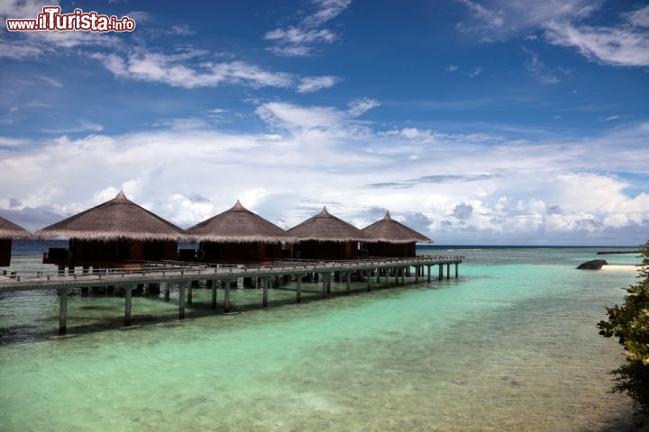 Immagine Atollo di Rasdhoo, Maldive - Isola di Kuramathi - © tkachuk / Shutterstock.com