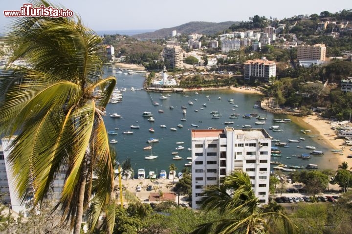 Immagine La baia di Acapulco, la famosa spiaggia del Messico, nello stato di Guerrero - © alysta / Shutterstock.com