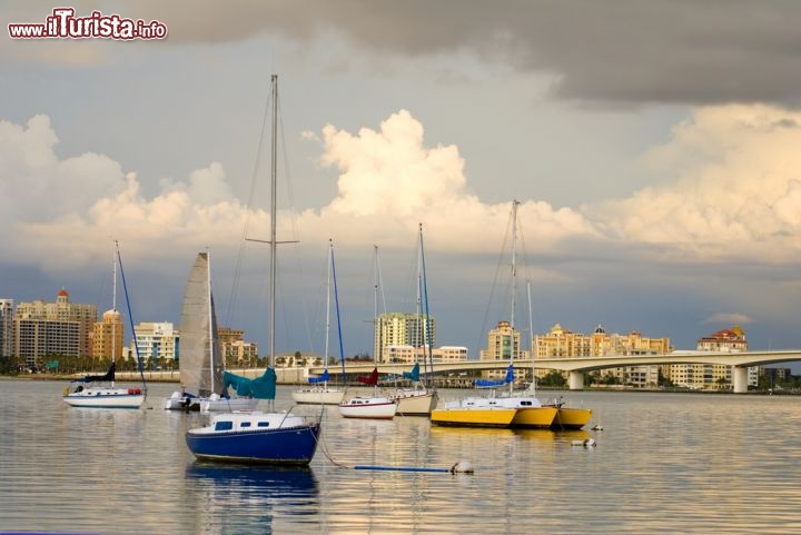Immagine La baia di Sarasota lungo la costa nord-occidentale della Florida, negli USA - © SAJE / Shutterstock.com