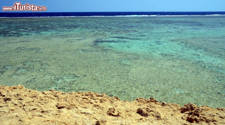 Immagine La barriera corallina di Marsa Alam, nel Mar Rosso centrale in Egitto. In primo piano la laguna costieram in fondo il blu della zona esterna al reef - © maudanros / Shutterstock.com