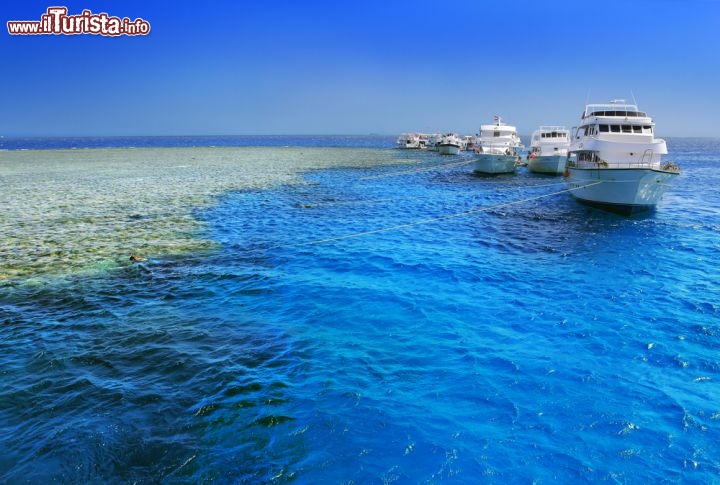 Immagine Barriera corallina sull'isola di Giftun. Il reef del Mar Rosso vicino ad Hurghada è una delle migliori destinazioni per le immersioni di tutto l'Egitto - © WitR / Shutterstock.com