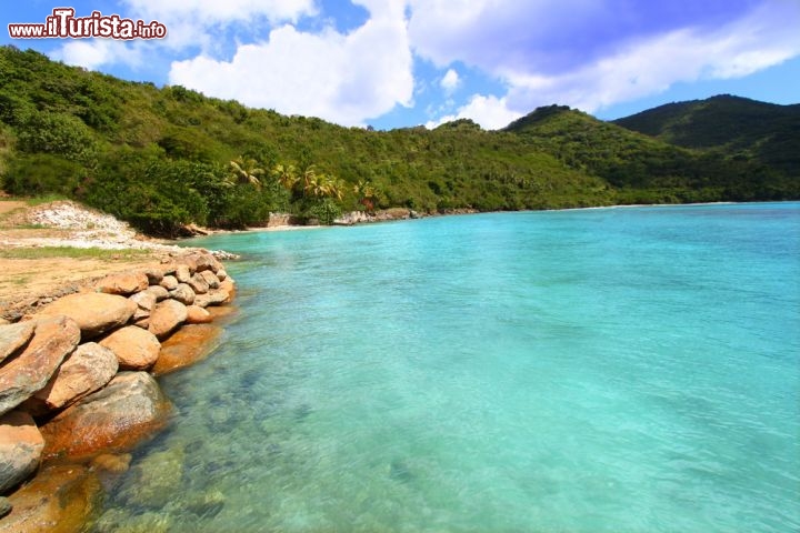 Immagine Brewers Bay Tortola : il mare delle Isole Vergini Britanniche è molto famoso tra gli appassionati di snorkeling ed immersioni subacquee - © Jason Patrick Ross / Shutterstock.com