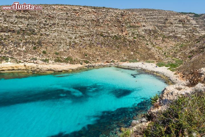 Immagine La splendida Cala Pulcino si trova sull'isola di Lampedusa, nell' arcipelago delle Pelagie al largo della Sicilia. Non è famosa come la spiaggia dei Conigli, ma le acque qui sono parimenti limpide e l'affollamento è decisamente più contenuto - © RZ Design / Shutterstock.com
