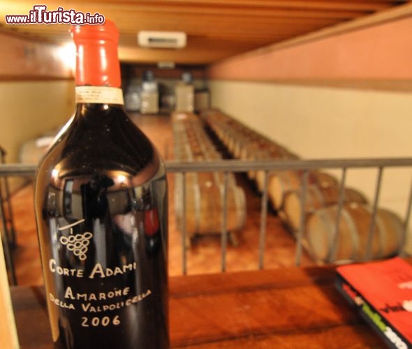 Immagine Cantina Corte Adami a Soave: una preziosa bottiglia di Amarone