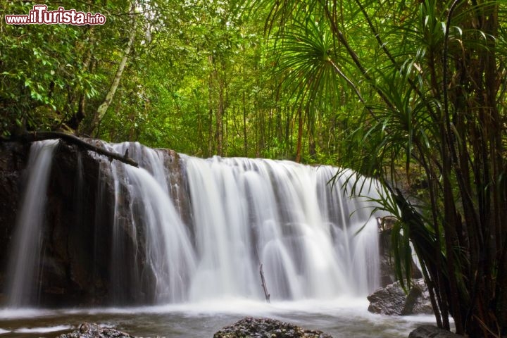 Immagine La cascata di Suoi Tranh waterfall: siamo nell'interno dell'isola di Phu Quoc Island, nel Vietnam - © Frank Fischbach / Shutterstock.com