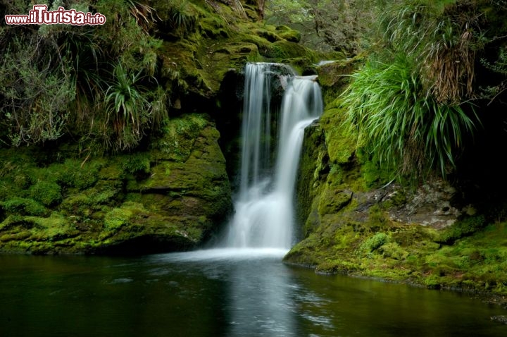 Immagine Cascata lungo l'Overland Track in Tasmania - © mundoview / Shutterstock.com