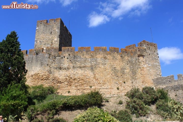 Immagine Castello medievale di Tomar in Portogallo - © anasztazia / Shutterstock.com