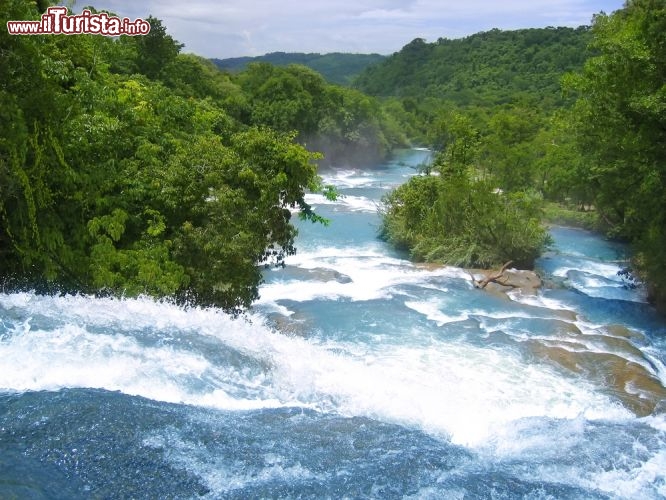Immagine Le cascate Agua Azul si trovano a 50 km circa da Palenque, nel Chiapas, Messico. Il nome è dovuto alla colorazione dell'acqua, che nelle giornate di sole è di un bell'azzurro carico. Il luogo è ottimo per un bel bagno, ma bisogna stare attenti ai mulinelli e alle correnti - © holbox / Shutterstock.com