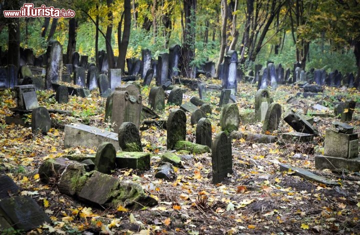 Immagine Il Cimitero Ebraico di Varsavia: le antiche lapide e le tombe disposte in modo un pò disordinato, lo rendono uno dei cimiteri più interessanti di tutta la Polonia - © Fotokon / Shutterstock.com