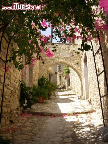 Immagine Le città di Cipro sono reticoli di viottoli pittoreschi, racchiusi da mura antiche, archi e piante rampicanti - © Alexey Rezaykin / Shutterstock.com