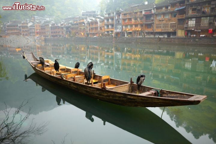 Immagine Cormorani da pesca, all'interno di una barca sul fiume, nei pressi di Guilin in Cina - © ievgen sosnytskyi / Shutterstock.com