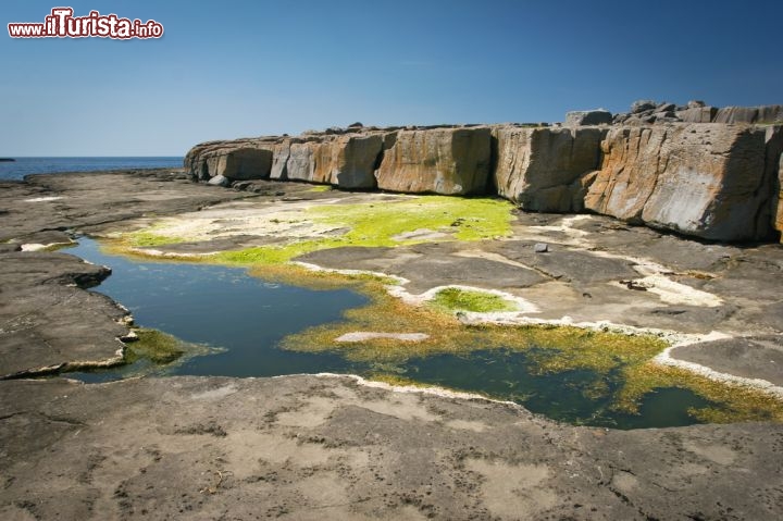 Immagine Costa rocciosa vicino Galway in Irlanda  - © Piotr Gatlik / Shutterstock.com