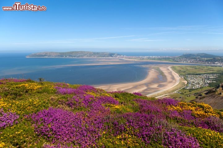 Immagine Le magiche coste del Galles del nord, il panorama che si può ammirare vicino a Conwy - © Gail Johnson / Shutterstock.com
