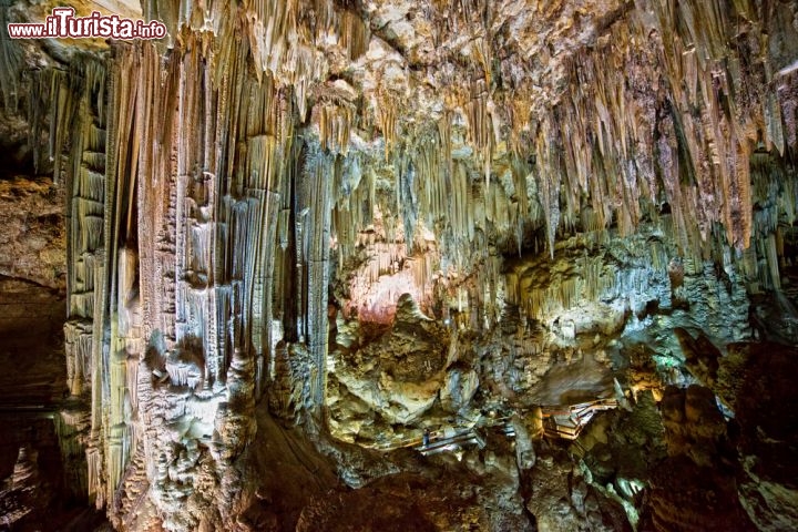 Immagine Cuevas de Nerja, Spagna - Dichiarato monumento storico artistico e bene di interesse culturale, questo sito geologico è un insieme di cuniculi nei pressi del villaggio di Maro (comune di Nerja). Lunghe più di 4 chilometri e con una superficie complessiva di 35 mila mq, le grotte di Nerja sono di origine carsica e risalirebbero a milioni di anni prima di Cristo. Famose per la più grande stalattite del mondo (ben 63 metri), al loro interno sono state trovate tracce di insediamenti umani fra cui incisioni rupestri, armi, ossa e gioielli e oltre 320 cicli pittorici. Al pubblico è aperto soltanto un terzo dei cuniculi e delle sale che ine state ospitano anche spettacolari concerti di musica e danza © Artur Bogacki / Shutterstock.com