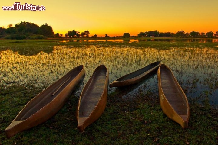 Immagine Delta fiume Okavango: quella al parco nazionale, ora Patrimonio UNESCO è una delle classiche escursione organizzate dalla capitale del Botswana - © Pal Teravagimov / Shutterstock.com