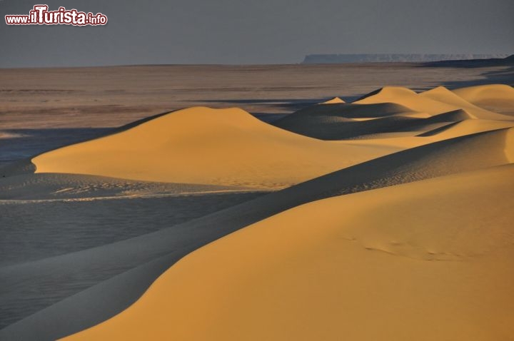 Immagine Dune nel deserto, lungo la pista per Wadi al-Hitan in Egitto - In collaborazione con I Viaggi di Maurizio Levi