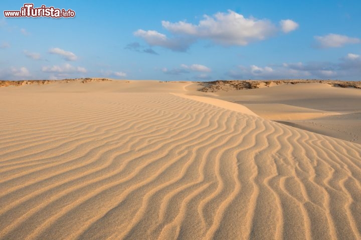 Immagine Dune di sabbia, il "deserto" di Boa Vista a Capoverde. Qui ci troviamo nei pressi della spiaggia di Chaves - © Samuel Borges Photography / Shutterstock.com