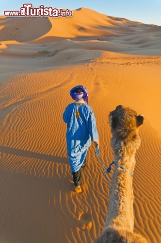 Immagine Escursione con un dromedario sulle dune di Merzouga in Marocco. Il momento migliore per compiere il tour è la mattina presto al momento dell'alba, quando il sole sempra sorgere d auna infinita distesa di onde di sabbia - © Anibal Trejo / Shutterstock.com