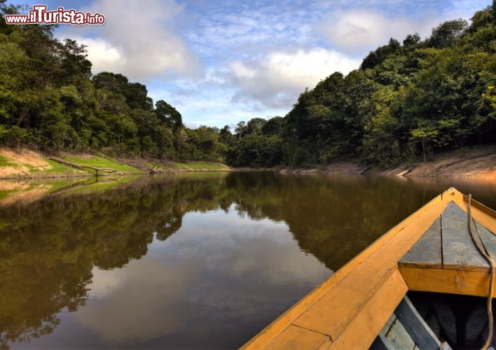Immagine Escursione in barca sul Rio delle Amazzoni vicino a Manaus - © Gleb Aitov / Shutterstock.com