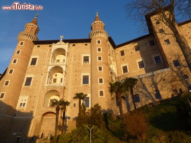 Immagine Facciata dei Torricini del Palazzo Ducale, Urbino
