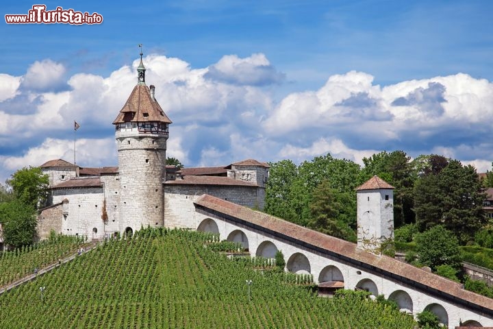 Immagine La cinquecentesca fortezza del Munot, a Sciaffusa, in Svizzera - © Natali Glado / Shutterstock.com