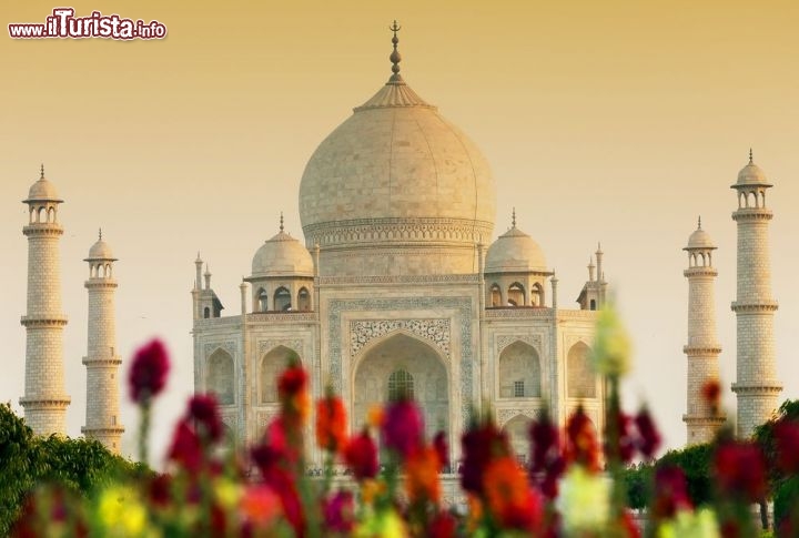 Immagine Il Taj Mahal al tramonto ad Agra in India - © Mikadun / Shutterstock.com
