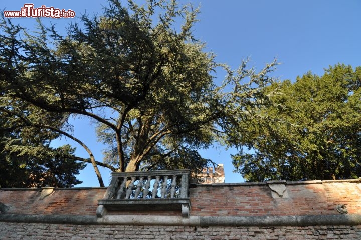 Immagine Giardino Pensile del Castello di Bevilacqua. Si tratta di una grande giardino all'italiana, molto ben tenuto e tra i più famosi, del genere, in Italia