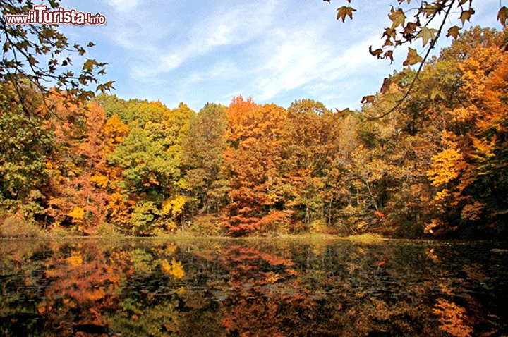 Immagine Greenbelt Conservancy di New York, Stati Uniti. Gli spettacolari colori autunnali di questo parco situato al 200 di Nevada Avenue - © sigreenbelt.org