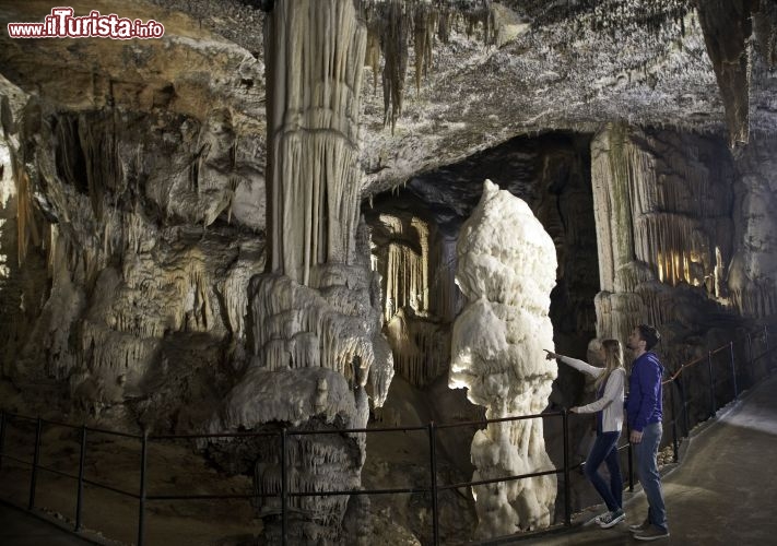 Immagine Grotte di Postumia (Postojna) il Brillante, la concrezione calcarea che si trova nel complesso ipogeo più inportante della Slovenia, uno dei più famosi del mondo - Cortesia foto www.postojnska-jama.eu