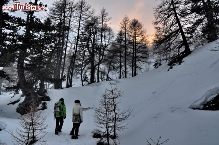 Immagine Guida Alpina accompagna dei turisti in un  trekking invernale a La Thuile, nelle Alpi Occidentali