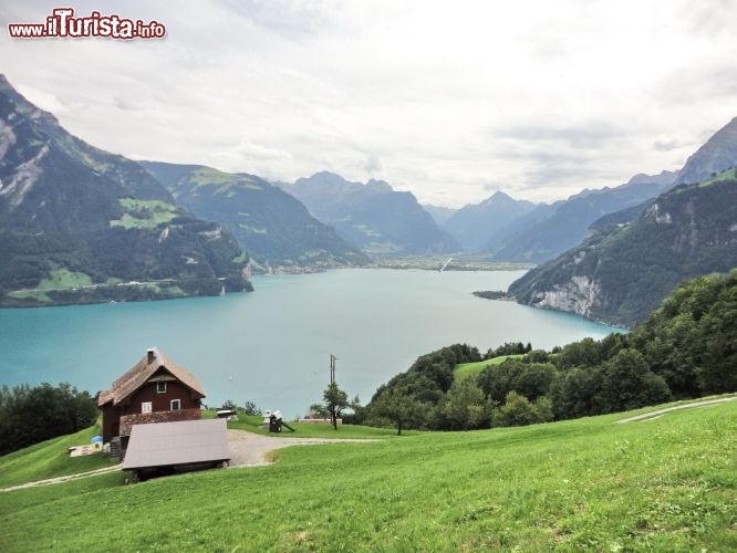Immagine I pascoli alpini della Svizzera con il lago dei 4 Cantoni