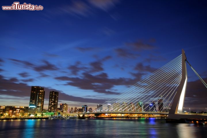 Immagine Il famoso Ponte Erasmus, si trova lungo lil fiume Meuwe (Mosa) a Rotterdam, la città portuale dell'Olanda - © Ljupco Smokovski / Shutterstock.com