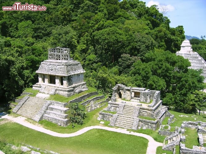 Immagine Le piramidi e i palazzi di Palenque sono avvolti nella foresta tropicale del Chiapas, Messico - © holbox / Shutterstock.com