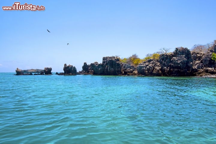 Immagine Il mare turchese di mafia, la famosa isola della Tanzania - © Kjersti Joergensen / Shutterstock.com