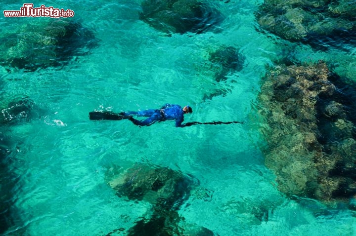 Immagine Immersioni nel mare cristallino di Cipro, nelle acque intorno a Agia Napa, nel Mediterraneo orientale - © iunewind / Shutterstock.com