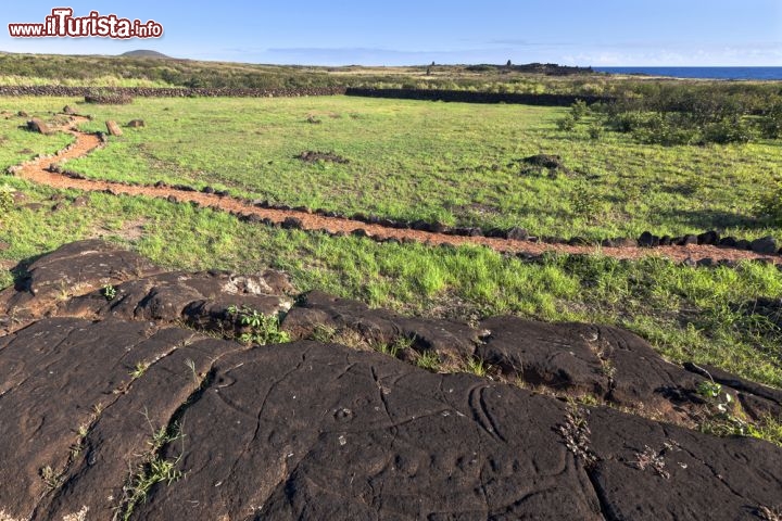 Immagine Incisioni rupestri a Rapa Nui, l'Isola di Pasqua in CIle - © Tero Hakala / Shutterstock.com