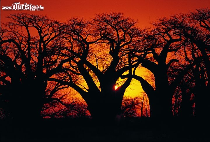 Immagine Infuocato tramonto in Sudafrica - Fonte South African Tourism