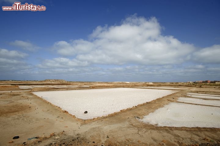 Immagine Isola di Sal Capo Verde: le geometrie delle saline offrono parecchi spunti agli appassionati di fotografia - © AQUAZOOM / Shutterstock.com
