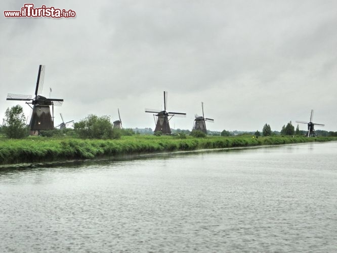 Immagine Kinderdijk e i suoi famosi mulini in Olanda.