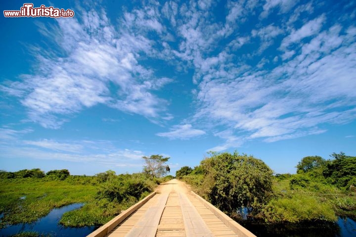 Immagine La Transpantaneira Pantanal Brasile
