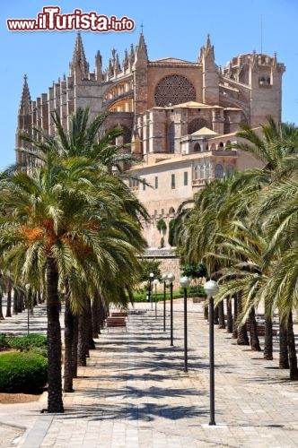 Immagine Sa Seu, la Cattedrale di Palma de Maiorca