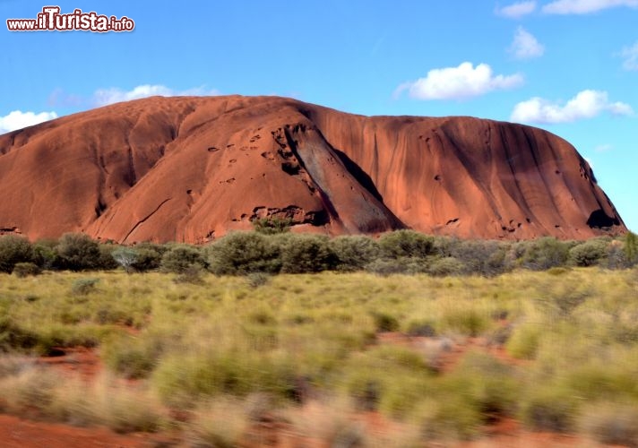 Immagine La montagna sacra di Uluru fotografata in corsa dal pulmino - Il magnifici colori di Ayers Rock si fondono con quelli del bush, la bassa vegetazione tipica dell'outback australiano, e con l'azzurro elettrico del cielo del Red Centre