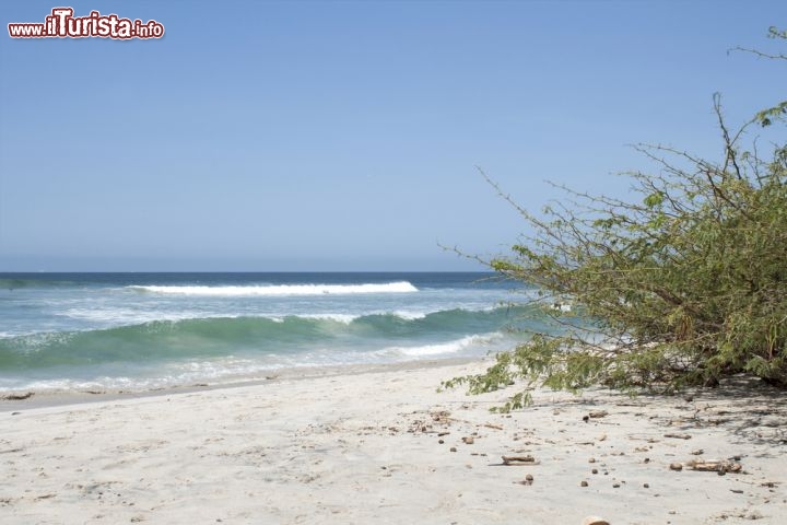 Immagine La bella spiaggia di Punta de Mita nello stato di Nayarit, Messico - © Ricardo Villasenor / Shutterstock.com